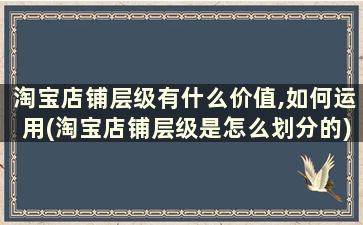 淘宝店铺层级有什么价值,如何运用(淘宝店铺层级是怎么划分的)