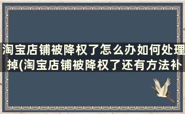 淘宝店铺被降权了怎么办如何处理掉(淘宝店铺被降权了还有方法补救吗)