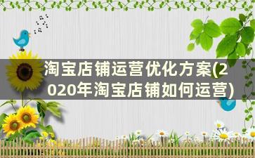 淘宝店铺运营优化方案(2020年淘宝店铺如何运营)