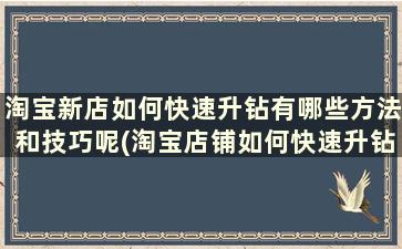 淘宝新店如何快速升钻有哪些方法和技巧呢(淘宝店铺如何快速升钻)