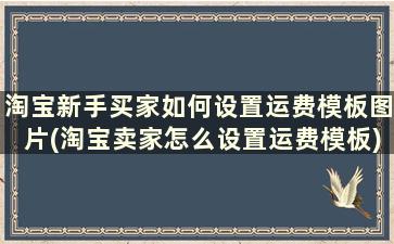 淘宝新手买家如何设置运费模板图片(淘宝卖家怎么设置运费模板)