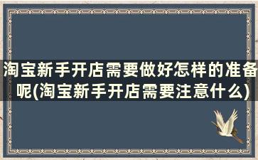 淘宝新手开店需要做好怎样的准备呢(淘宝新手开店需要注意什么)