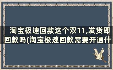 淘宝极速回款这个双11,发货即回款吗(淘宝极速回款需要开通什么)