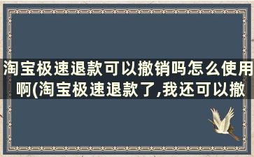 淘宝极速退款可以撤销吗怎么使用啊(淘宝极速退款了,我还可以撤销退款吗)