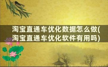 淘宝直通车优化数据怎么做(淘宝直通车优化软件有用吗)