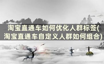 淘宝直通车如何优化人群标签(淘宝直通车自定义人群如何组合)