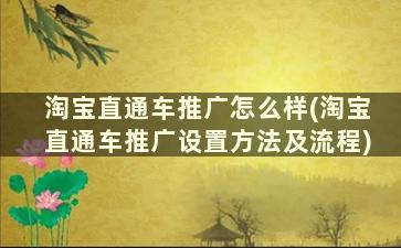 淘宝直通车推广怎么样(淘宝直通车推广设置方法及流程)