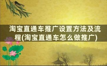 淘宝直通车推广设置方法及流程(淘宝直通车怎么做推广)