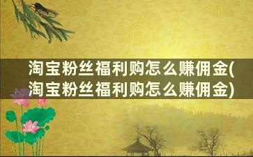 淘宝粉丝福利购怎么赚佣金(淘宝粉丝福利购怎么赚佣金)