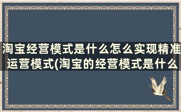 淘宝经营模式是什么怎么实现精准运营模式(淘宝的经营模式是什么)