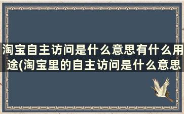 淘宝自主访问是什么意思有什么用途(淘宝里的自主访问是什么意思)