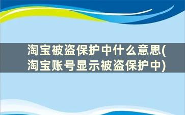 淘宝被盗保护中什么意思(淘宝账号显示被盗保护中)