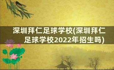 深圳拜仁足球学校(深圳拜仁足球学校2022年招生吗)