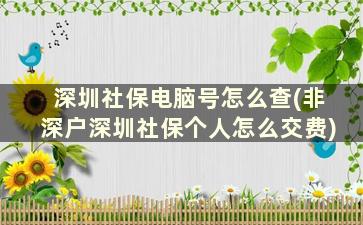 深圳社保电脑号怎么查(非深户深圳社保个人怎么交费)