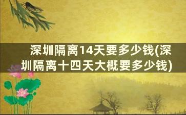 深圳隔离14天要多少钱(深圳隔离十四天大概要多少钱)