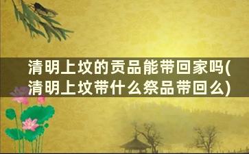 清明上坟的贡品能带回家吗(清明上坟带什么祭品带回么)