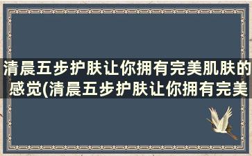 清晨五步护肤让你拥有完美肌肤的感觉(清晨五步护肤让你拥有完美肌肤的功效)