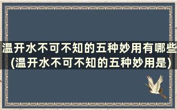 温开水不可不知的五种妙用有哪些(温开水不可不知的五种妙用是)