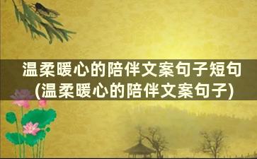 温柔暖心的陪伴文案句子短句(温柔暖心的陪伴文案句子)