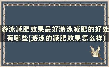 游泳减肥效果最好游泳减肥的好处有哪些(游泳的减肥效果怎么样)