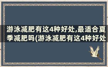 游泳减肥有这4种好处,最适合夏季减肥吗(游泳减肥有这4种好处,最适合夏季减肥的时间)