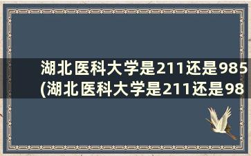 湖北医科大学是211还是985(湖北医科大学是211还是985？)