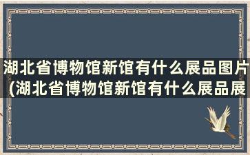 湖北省博物馆新馆有什么展品图片(湖北省博物馆新馆有什么展品展览)