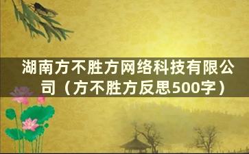 湖南方不胜方网络科技有限公司（方不胜方反思500字）