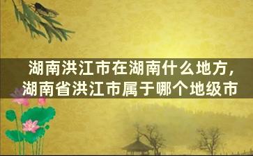 湖南洪江市在湖南什么地方,湖南省洪江市属于哪个地级市