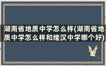 湖南省地质中学怎么样(湖南省地质中学怎么样和维汉中学哪个好)