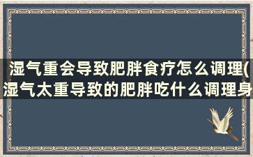 湿气重会导致肥胖食疗怎么调理(湿气太重导致的肥胖吃什么调理身体)