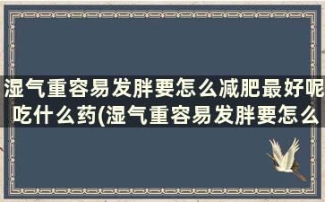 湿气重容易发胖要怎么减肥最好呢吃什么药(湿气重容易发胖要怎么减肥最好呢)