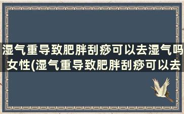 湿气重导致肥胖刮痧可以去湿气吗女性(湿气重导致肥胖刮痧可以去湿气吗)