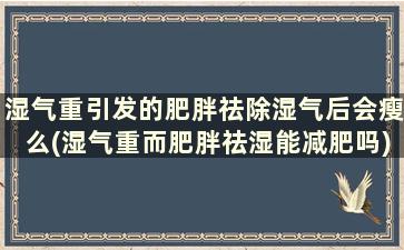 湿气重引发的肥胖祛除湿气后会瘦么(湿气重而肥胖祛湿能减肥吗)