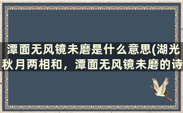 潭面无风镜未磨是什么意思(湖光秋月两相和，潭面无风镜未磨的诗句大意)