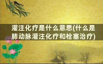 灌注化疗是什么意思(什么是肺动脉灌注化疗和栓塞治疗)