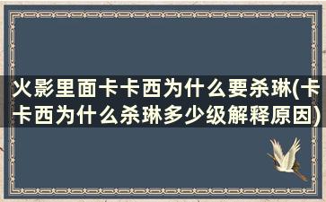 火影里面卡卡西为什么要杀琳(卡卡西为什么杀琳多少级解释原因)