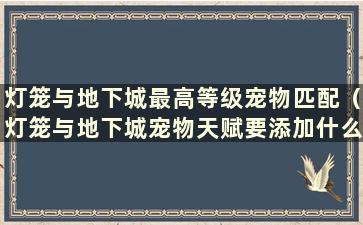 灯笼与地下城最高等级宠物匹配（灯笼与地下城宠物天赋要添加什么）