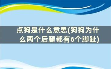 点狗是什么意思(狗狗为什么两个后腿都有6个脚趾)