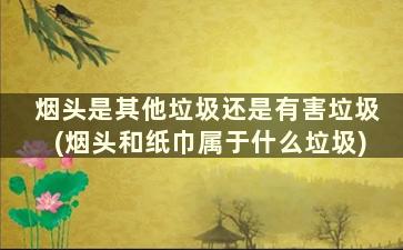 烟头是其他垃圾还是有害垃圾(烟头和纸巾属于什么垃圾)