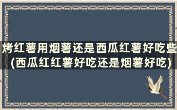 烤红薯用烟薯还是西瓜红薯好吃些(西瓜红红薯好吃还是烟薯好吃)