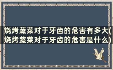 烧烤蔬菜对于牙齿的危害有多大(烧烤蔬菜对于牙齿的危害是什么)