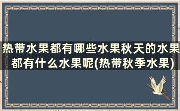 热带水果都有哪些水果秋天的水果都有什么水果呢(热带秋季水果)