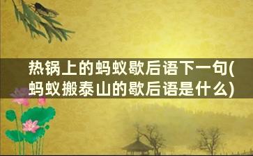 热锅上的蚂蚁歇后语下一句(蚂蚁搬泰山的歇后语是什么)