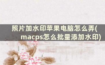 照片加水印苹果电脑怎么弄(macps怎么批量添加水印)