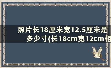 照片长18厘米宽12.5厘米是多少寸(长18cm宽12cm相片是几寸)