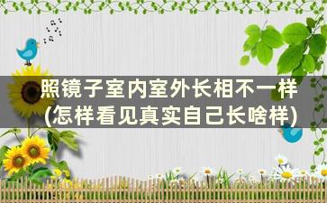 照镜子室内室外长相不一样(怎样看见真实自己长啥样)