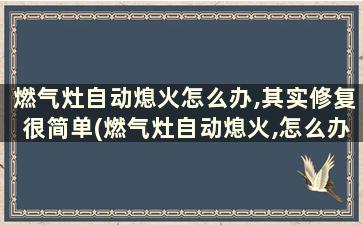 燃气灶自动熄火怎么办,其实修复很简单(燃气灶自动熄火,怎么办小妙招教给大家!)