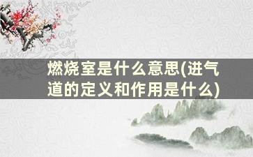 燃烧室是什么意思(进气道的定义和作用是什么)