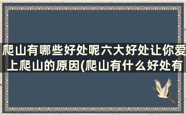 爬山有哪些好处呢六大好处让你爱上爬山的原因(爬山有什么好处有什么坏处)